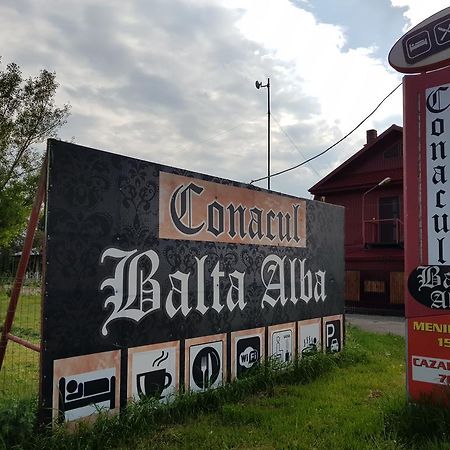 Hotel Conacul Balta Albă Zewnętrze zdjęcie