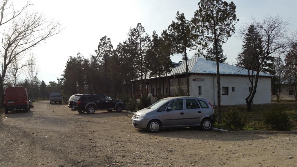 Hotel Conacul Balta Albă Zewnętrze zdjęcie